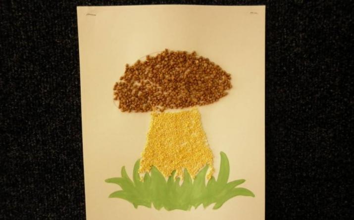 Application “Mushrooms” on a clearing made of colored paper in the senior group with video